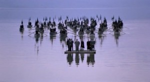 theo-angelopoulos-eleni