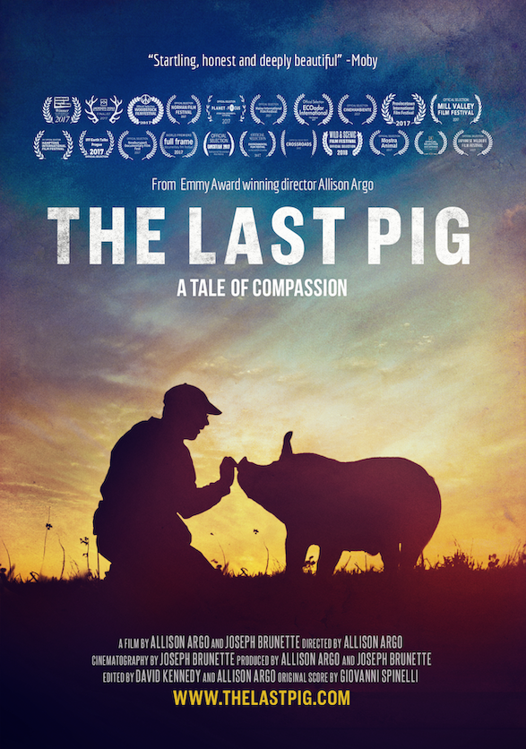 lastpig1-4-81