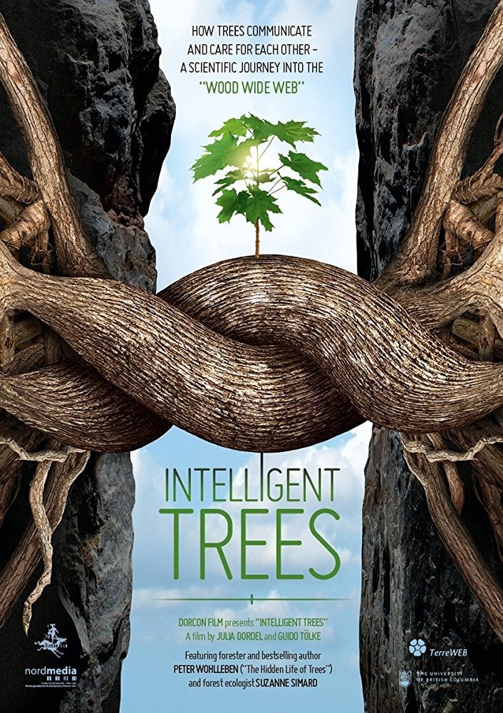 Intelligent-Trees