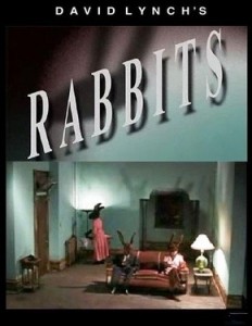 rabbits