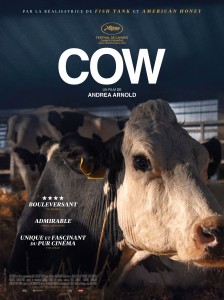 Poster_Cow